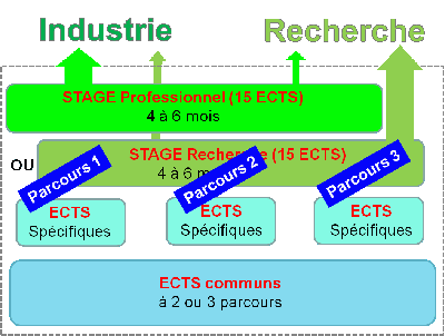 structuration M2